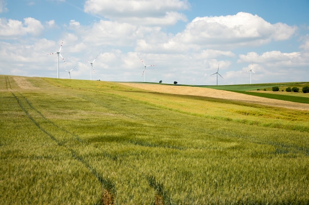 Éoliennes et champs de blé 1