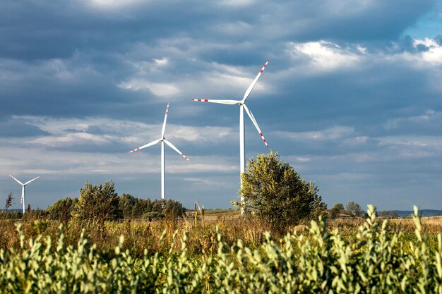 Éoliennes sur des collines verdoyantes Groupe d'éoliennes pour la production d'énergie électrique dans le vert