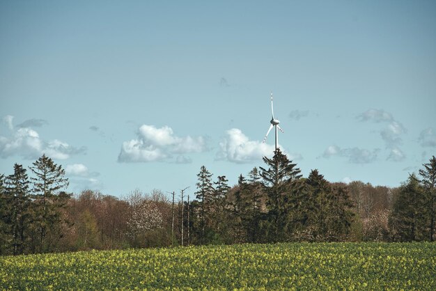 Éoliennes contre le ciel Éoliennes en Europe Concept d'avenir durable et vert