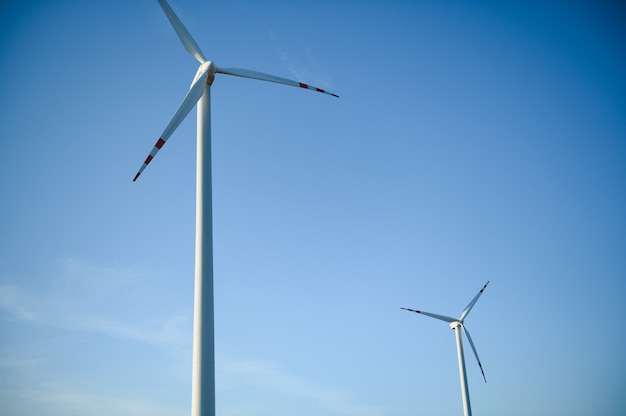 Éoliennes dans un champ vert et ciel bleu.