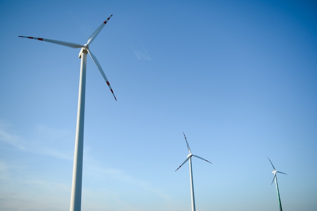 Éoliennes dans un champ vert et ciel bleu.