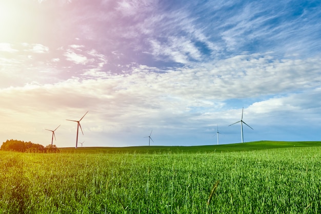 Éoliennes dans le champ vert avec ciel bleu