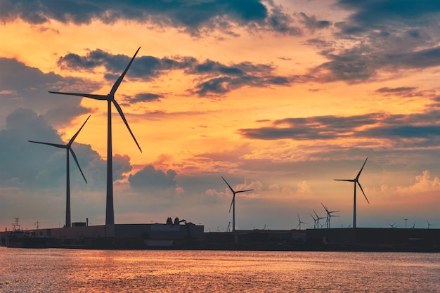 Éoliennes dans le port d'Anvers au coucher du soleil