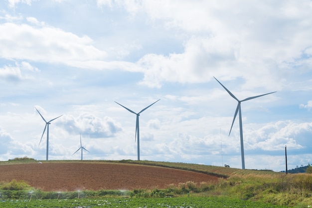 Éoliennes dans le pré