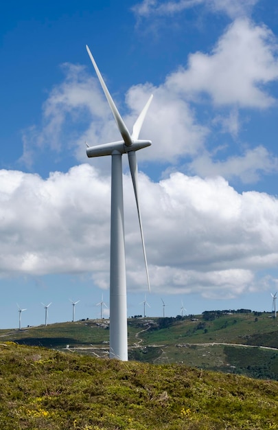 Éoliennes. Ferme énergétique. Éoliennes dans les champs agricoles. Campagne. Énergie renouvelable. Moulin à vent.