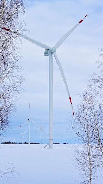 Éoliennes un jour d'hiver glacial dans un champ enneigé