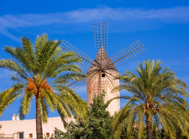 Éoliennes de Palma de Majorque à Majorque