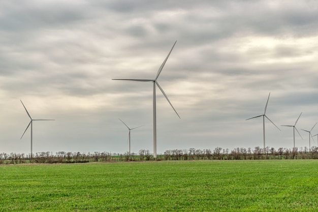 Éoliennes produisant de l'électricité dans un champ vert