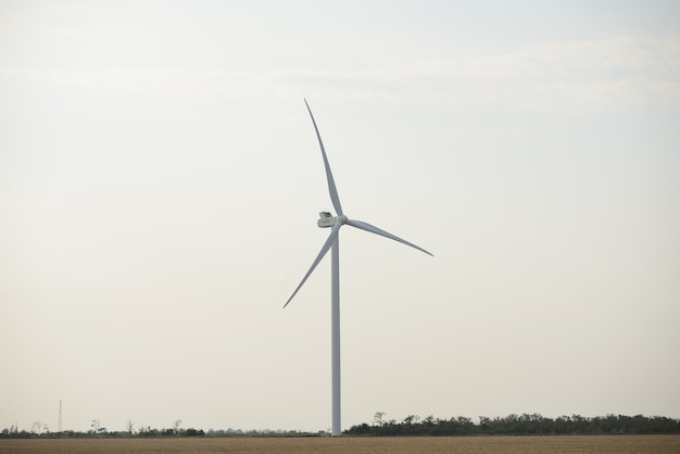 Éoliennes sur le terrain. Moulins à vent