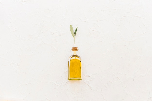 Photo olive rameau sur la bouteille d'huile fermée sur le fond blanc