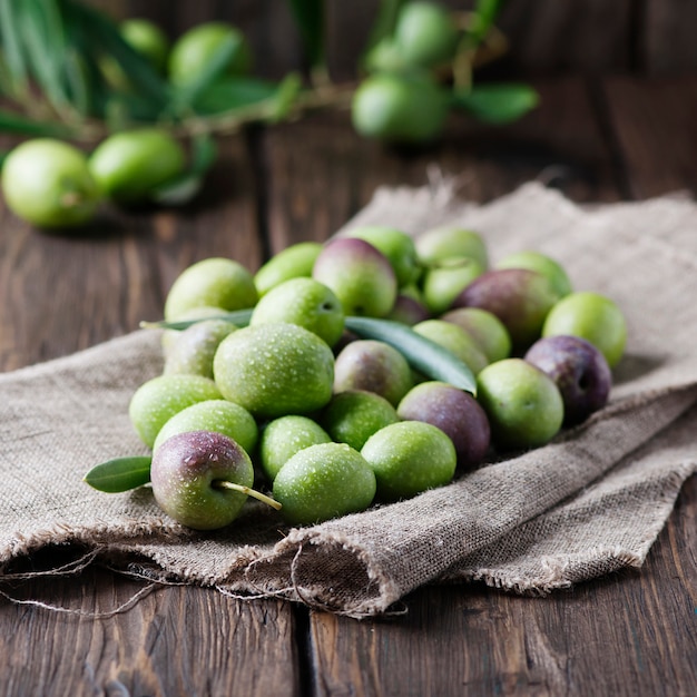 Olives crues pour faire de l'huile