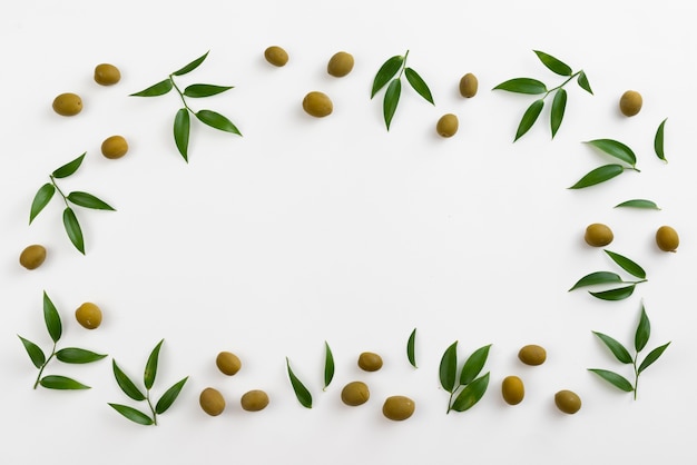 Olives et feuilles étalées sur une table