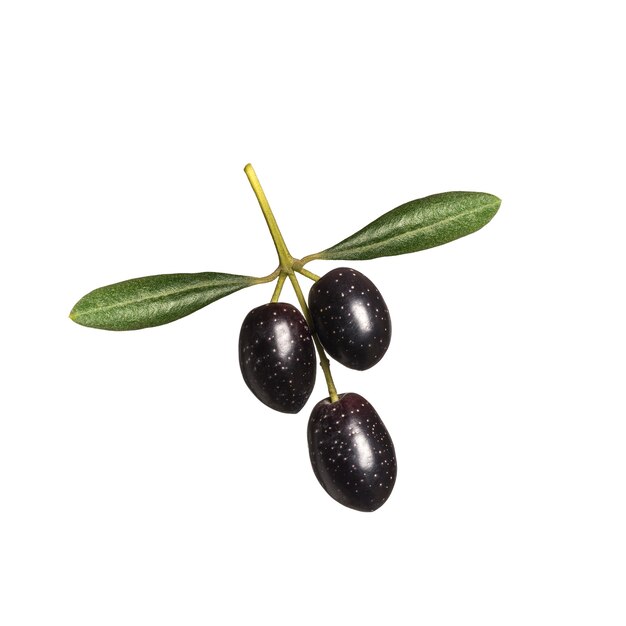 Olives sur fond blanc