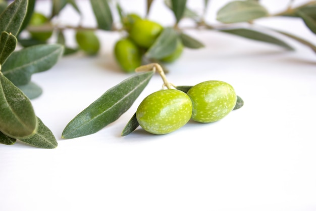 Olives vertes biologiques fraîches sur la plaque blanche