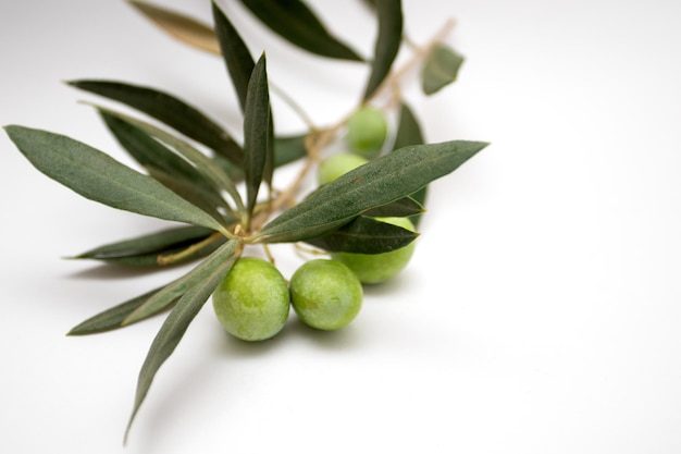 Olives vertes avec des feuilles sur fond blanc.