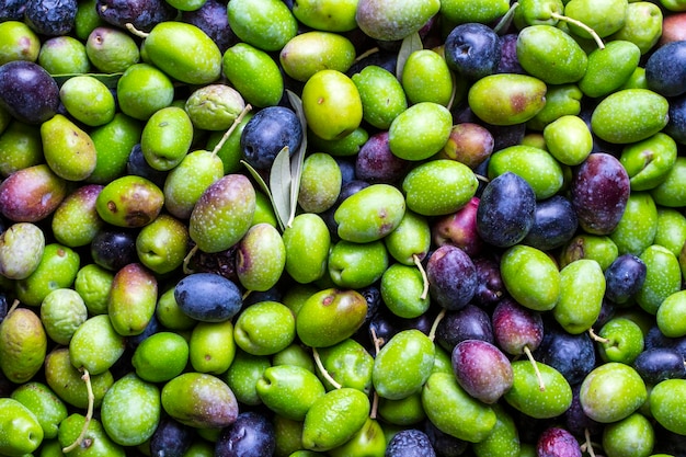 Olives vertes et noires avec fond de texture de feuilles, récolte italienne