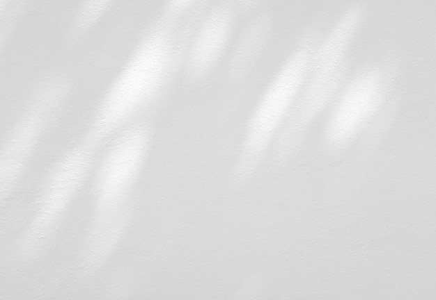 Ombre abstraite de feuilles sur un mur blanc