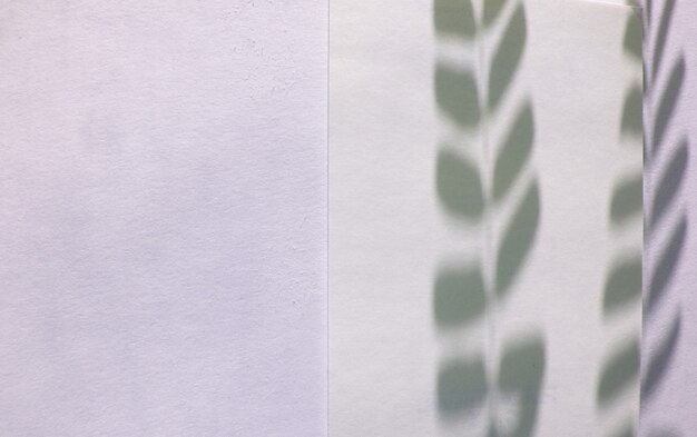 Photo ombre abstraite d'une petite branche d'une plante avec des feuilles, réflexion sur papier blanc, copie de l'espace.