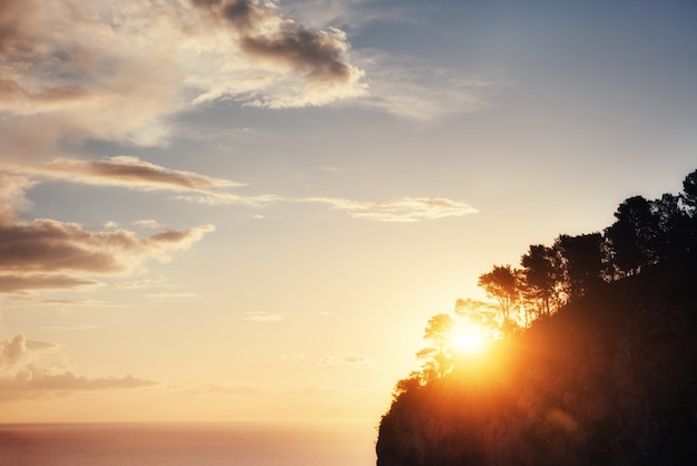 Ombre d'arbre avec coucher de soleil. Monde de la beauté. Sicile. Italie. L'Europe 