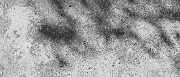 Ombre d'arbre sur mur de béton brut. Ombre d'une branche d'arbre sur un mur de ciment blanchi à la chaux. Texture de mur de béton gris. Espace de copie