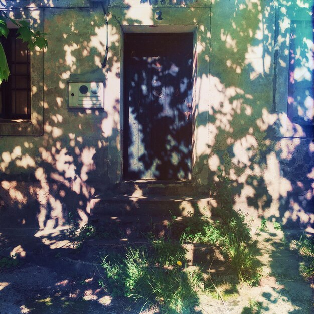 Photo l'ombre des arbres sur la vieille maison