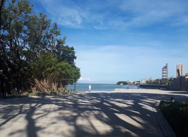 L'ombre des arbres et la vue au bord de la rivière du quai des douanes de Tamsui 2 août 2019 Taiwan