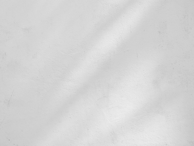 Ombre de branches et de feuilles sur le mur de crack blanc