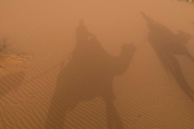 Photo l'ombre des chameaux et des hommes sur le sable