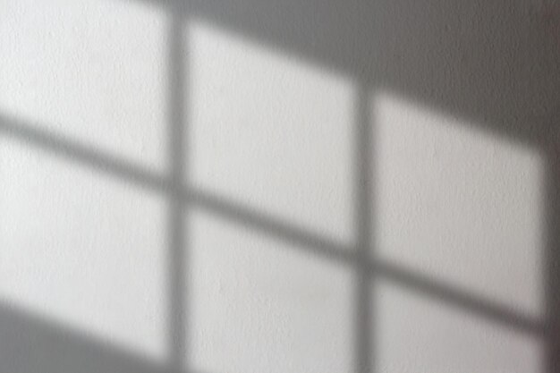 Ombre de fenêtre de goutte organique sur mur de béton blanc Effet de superposition pour photo Scène de lumière naturelle