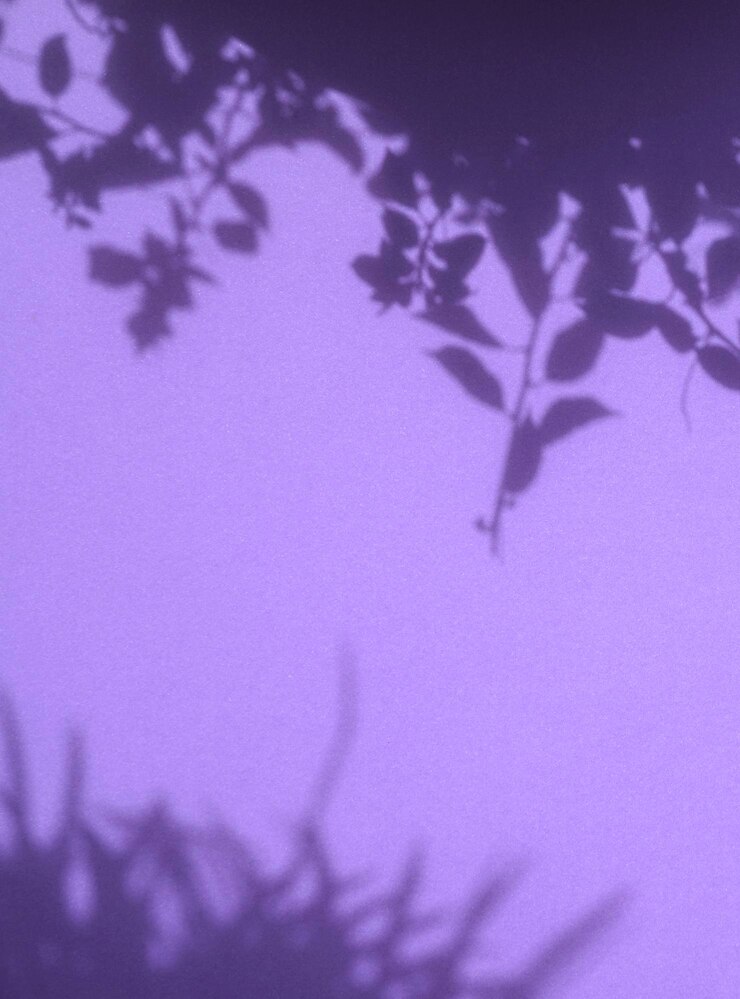 Ombre de feuillage sur fond violet