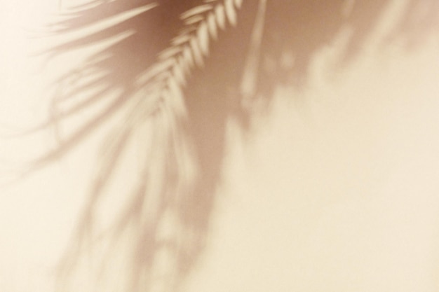 Ombre de feuille de palmier sur un mur beige Concept exotique d'été minimal avec espace de copie