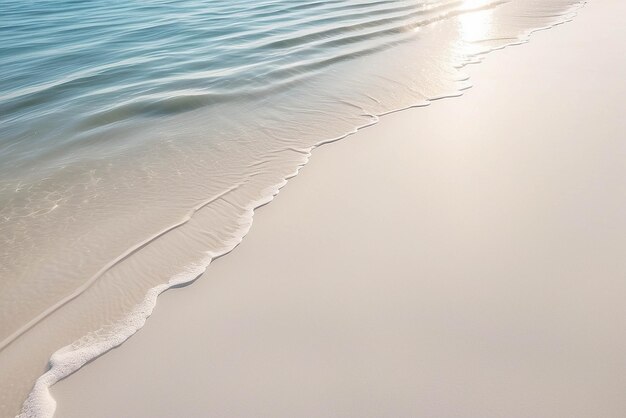 Photo l'ombre d'une feuille de palmier sur une plage de sable blanc abstraite, les lumières du soleil sur la surface de l'eau, une belle bannière de concept d'arrière-plan abstrait pour les vacances d'été à la plage.