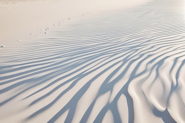 Photo l'ombre d'une feuille de palmier sur une plage de sable blanc abstraite, les lumières du soleil sur la surface de l'eau, une belle bannière de concept d'arrière-plan abstrait pour les vacances d'été à la plage.
