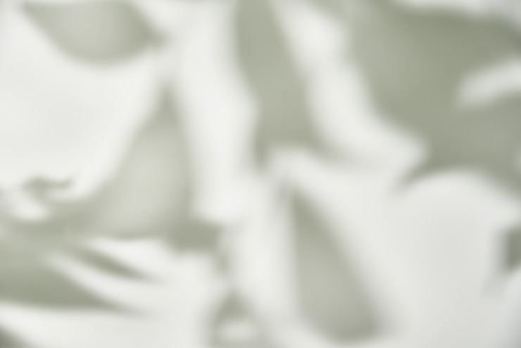 Photo ombre des feuilles sur blanc.