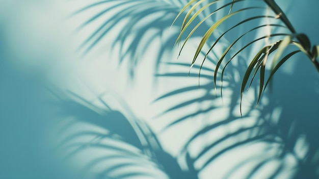 Ombre floue des feuilles de palmier sur le mur bleu clair Arrière-plan abstrait minimal f IA générative