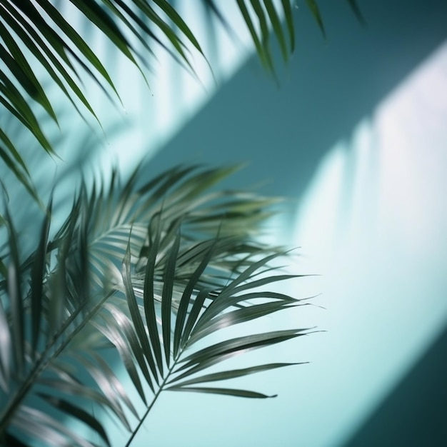 Ombre floue de feuilles de palmier sur le mur bleu clair Arrière-plan abstrait minimal pour la présentation du produit