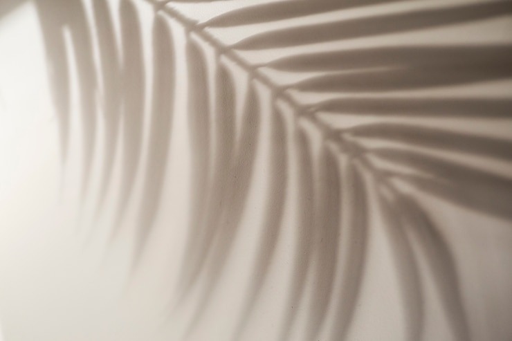 Photo ombre de fond de feuilles tropicales