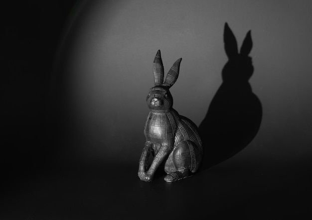 Une ombre de lapin sur un mur avec une ombre de lapin.