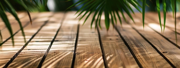 L'ombre des palmiers tropicaux sur le pont en bois