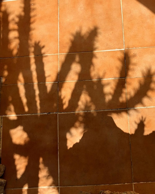 Photo ombre d'une personne sur le mur pendant une journée ensoleillée