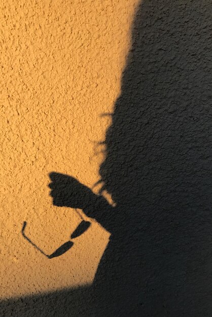 Photo ombre d'une personne sur le mur