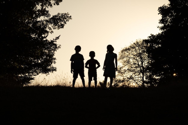 Photo ombre de silhouette de trois enfants debout ensemble dans la forêt sur un ciel au coucher du soleil et des arbres en arrière-plan