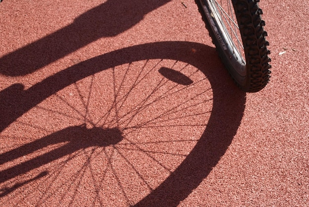 L'ombre d'un vélo sur le passage des zèbres