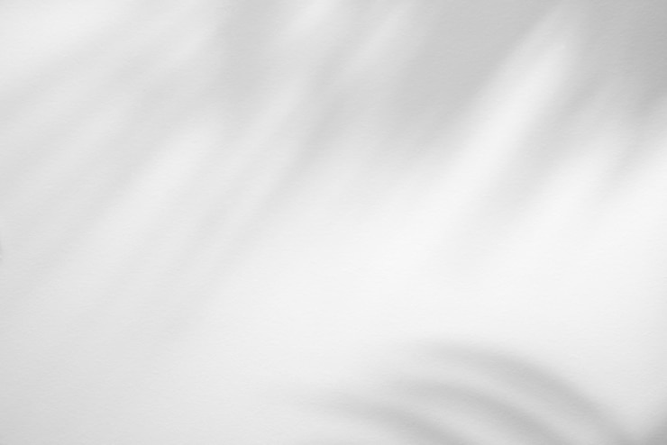 Photo les ombres des branches des feuilles de palmier sur le mur blanc