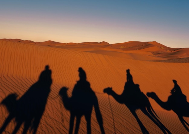 Photo les ombres des chameaux sur le sable