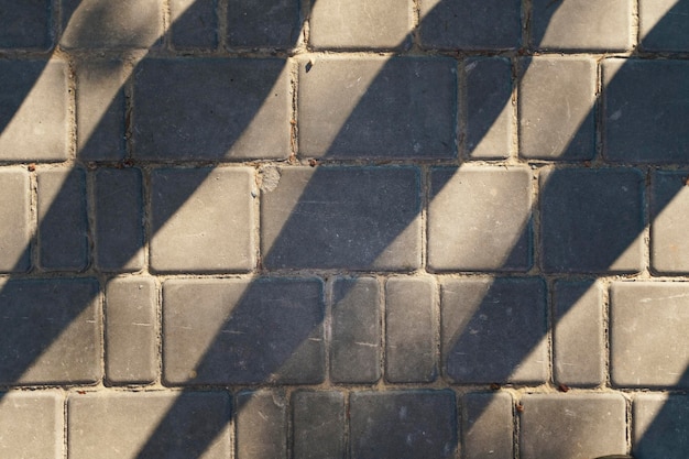 Ombres sur la chaussée pavée