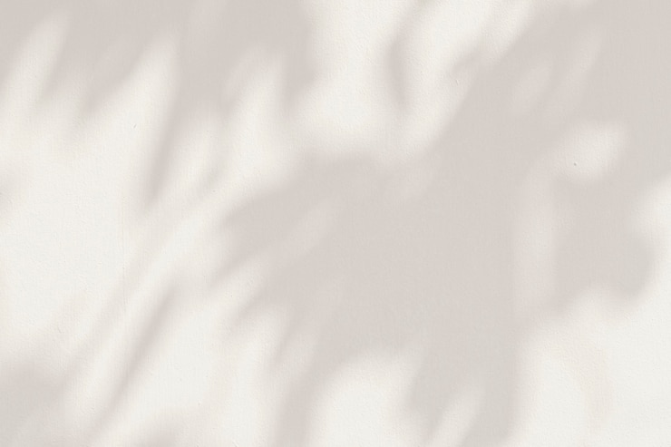 Photo ombres de feuilles sur une illustration de fond de ciment