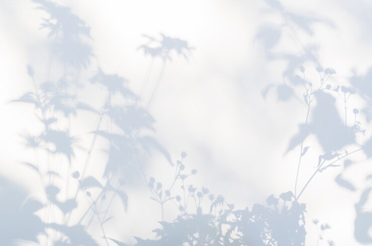 Photo ombres de fleurs sur un tissu blanc semi-transparent