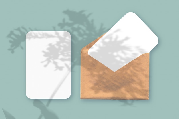 ombres végétales sur enveloppe avec deux feuilles de papier blanc texturé sur fond de tableau vert