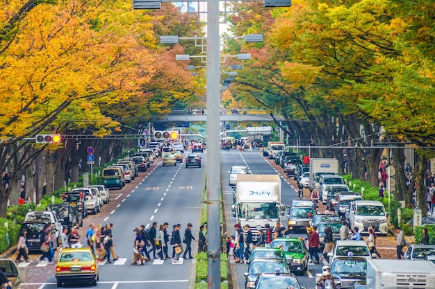 Photo les omotes et les feuilles d'automne